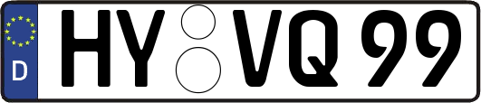 HY-VQ99