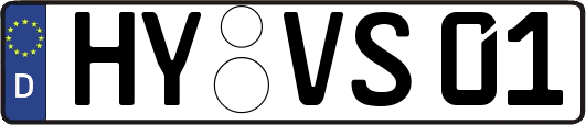 HY-VS01
