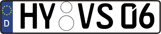 HY-VS06