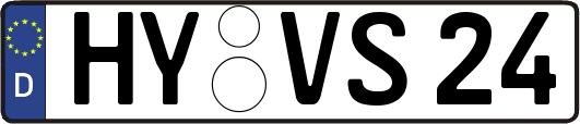 HY-VS24