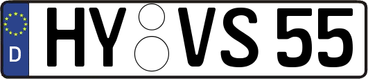 HY-VS55