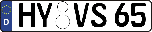 HY-VS65