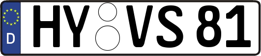 HY-VS81