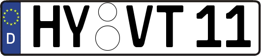 HY-VT11