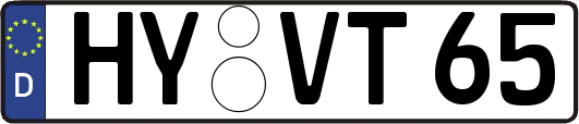 HY-VT65