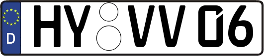 HY-VV06
