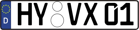 HY-VX01