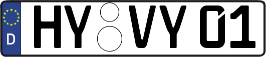 HY-VY01