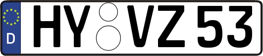 HY-VZ53