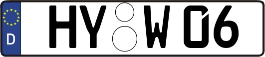 HY-W06