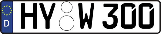 HY-W300