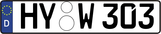 HY-W303