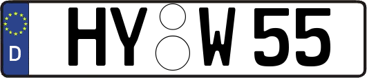 HY-W55