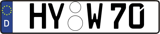 HY-W70