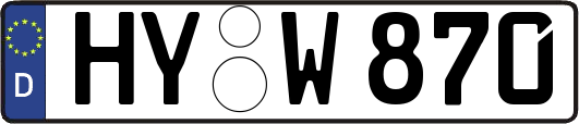 HY-W870