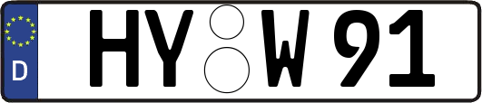 HY-W91
