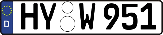 HY-W951