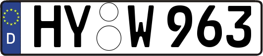 HY-W963