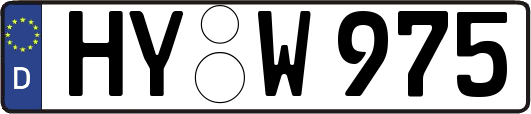 HY-W975