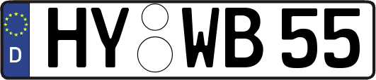 HY-WB55