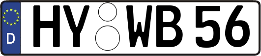 HY-WB56