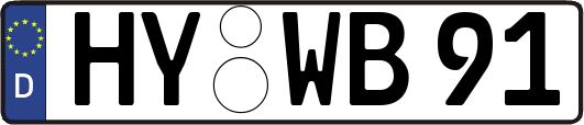 HY-WB91