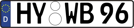 HY-WB96