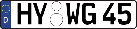 HY-WG45