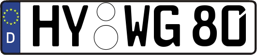HY-WG80