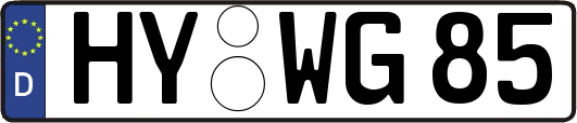 HY-WG85
