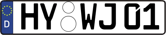 HY-WJ01