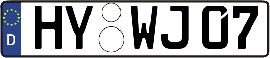 HY-WJ07