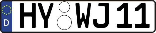 HY-WJ11