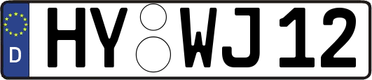 HY-WJ12