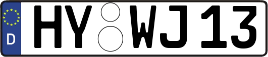 HY-WJ13