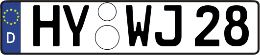HY-WJ28