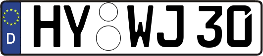 HY-WJ30
