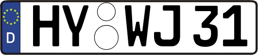 HY-WJ31