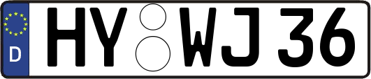 HY-WJ36