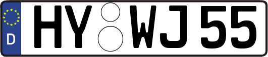 HY-WJ55