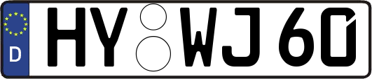 HY-WJ60