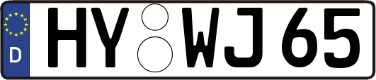 HY-WJ65