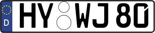 HY-WJ80