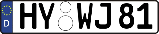 HY-WJ81