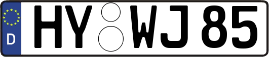 HY-WJ85