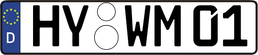 HY-WM01