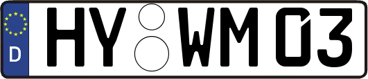 HY-WM03