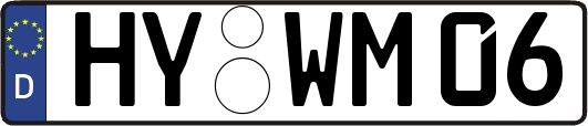 HY-WM06