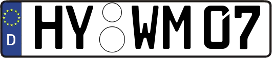 HY-WM07