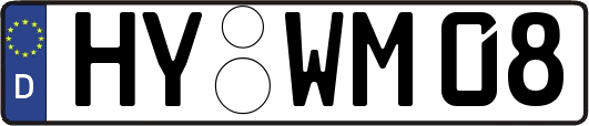 HY-WM08